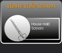 House Hold Scissors