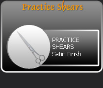 Practice Shears