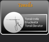 Tonsils